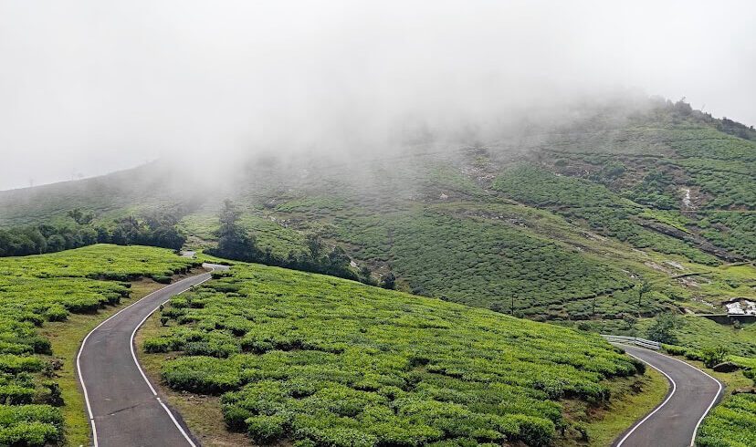 Thalanar View : Snow Point