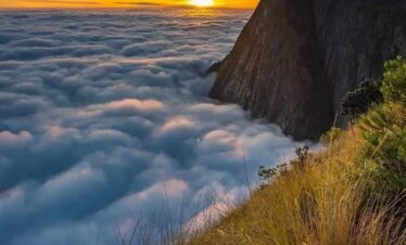 munnar