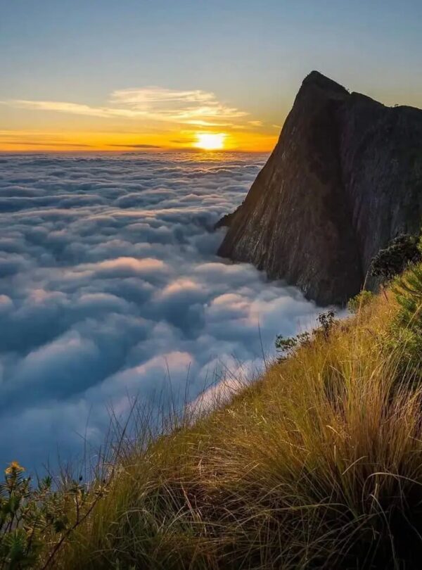 munnar