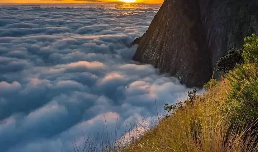 munnar