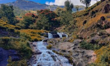 munnar